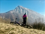 https://rehost.diberie.com/Picture/Get/t/156626
