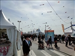 https://rehost.diberie.com/Picture/Get/t/162626
