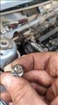 https://rehost.diberie.com/Picture/Get/t/178749