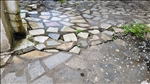 https://rehost.diberie.com/Picture/Get/t/202982