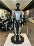 https://rehost.diberie.com/Picture/Get/t/214468