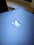 https://rehost.diberie.com/Picture/Get/t/250737 https://rehost.diberie.com/Picture/Get/t/250737