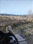 https://rehost.diberie.com/Picture/Get/t/255967