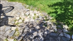 https://rehost.diberie.com/Picture/Get/t/269671