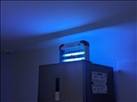 https://rehost.diberie.com/Picture/Get/t/273797