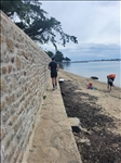 https://rehost.diberie.com/Picture/Get/t/297558