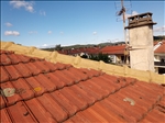 https://rehost.diberie.com/Picture/Get/t/320464