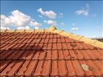 https://rehost.diberie.com/Picture/Get/t/320465
