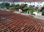 https://rehost.diberie.com/Picture/Get/t/320467