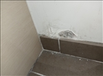 https://rehost.diberie.com/Picture/Get/t/381246
