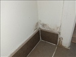https://rehost.diberie.com/Picture/Get/t/381247