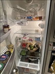 https://rehost.diberie.com/Picture/Get/t/386745