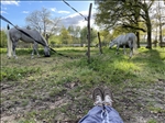 https://rehost.diberie.com/Picture/Get/t/387819