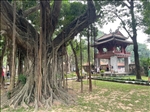 https://rehost.diberie.com/Picture/Get/t/390118