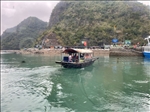 https://rehost.diberie.com/Picture/Get/t/390122