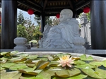 https://rehost.diberie.com/Picture/Get/t/390137