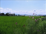 https://rehost.diberie.com/Picture/Get/t/391583