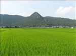 https://rehost.diberie.com/Picture/Get/t/391584