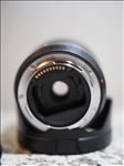 https://rehost.diberie.com/Picture/Get/t/394203