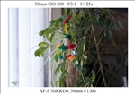 https://rehost.diberie.com/Picture/Get/t/402967