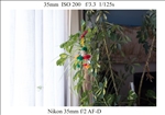 https://rehost.diberie.com/Picture/Get/t/402968