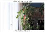 https://rehost.diberie.com/Picture/Get/t/402970