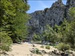 https://rehost.diberie.com/Picture/Get/t/408436