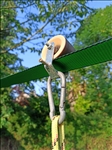 https://rehost.diberie.com/Picture/Get/t/426716