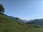 https://rehost.diberie.com/Picture/Get/t/426904