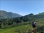 https://rehost.diberie.com/Picture/Get/t/426905