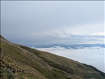 https://rehost.diberie.com/Picture/Get/t/426911