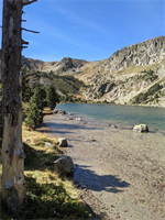 https://rehost.diberie.com/Picture/Get/t/50958