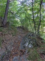https://rehost.diberie.com/Picture/Get/t/50962