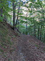 https://rehost.diberie.com/Picture/Get/t/50963
