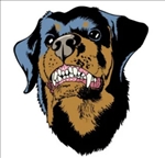 https://rehost.diberie.com/Picture/Get/t/512269