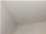 https://rehost.diberie.com/Picture/Get/t/512547