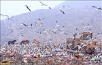 https://rehost.diberie.com/Picture/Get/t/512872