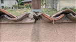 https://rehost.diberie.com/Picture/Get/t/519012