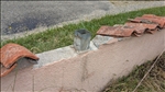 https://rehost.diberie.com/Picture/Get/t/519014