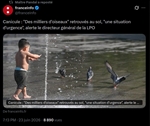 https://rehost.diberie.com/Picture/Get/t/524034