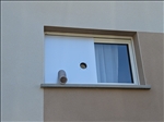 https://rehost.diberie.com/Picture/Get/t/524217