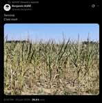 https://rehost.diberie.com/Picture/Get/t/524496