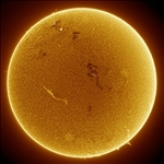 https://rehost.diberie.com/Picture/Get/t/524664