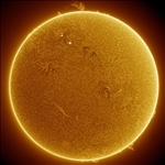 https://rehost.diberie.com/Picture/Get/t/524962