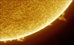 https://rehost.diberie.com/Picture/Get/t/524963