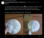 https://rehost.diberie.com/Picture/Get/t/525049