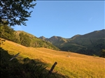 https://rehost.diberie.com/Picture/Get/t/525366
