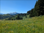 https://rehost.diberie.com/Picture/Get/t/527387