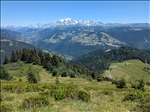 https://rehost.diberie.com/Picture/Get/t/527388