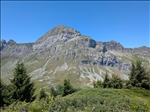 https://rehost.diberie.com/Picture/Get/t/527389